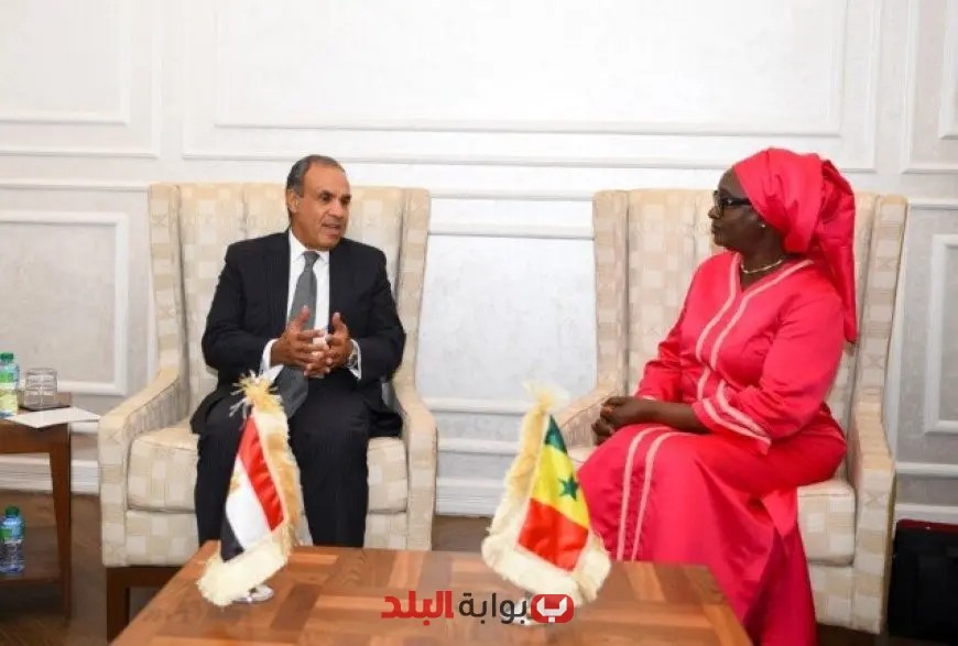 وزير الخارجية المصري يعبر عن فخر مصر بعلاقاتها التاريخية القوية مع السنغال