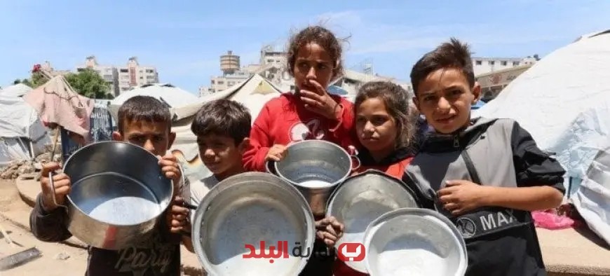 «الإيسيسكو» تطلق نداءً عالميًا لوقف حرب الإبادة والتجويع في غزة: انقذوا الأرواح الآن!