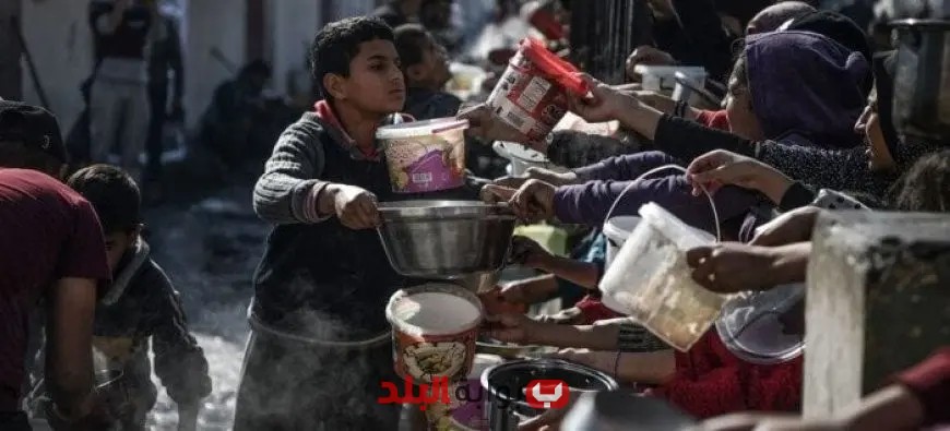 عاجل: إسرائيل توقف خطط إنشاء «المدينة الإنسانية» في رفح بشكل مفاجئ
