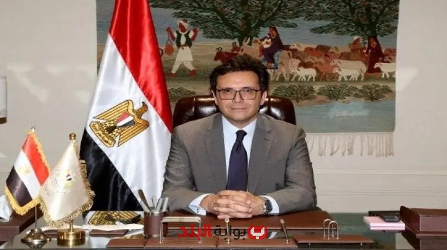 غداً: بدء التصويت على جوائز الدولة وإعلان النتائج في المجلس الأعلى للثقافة