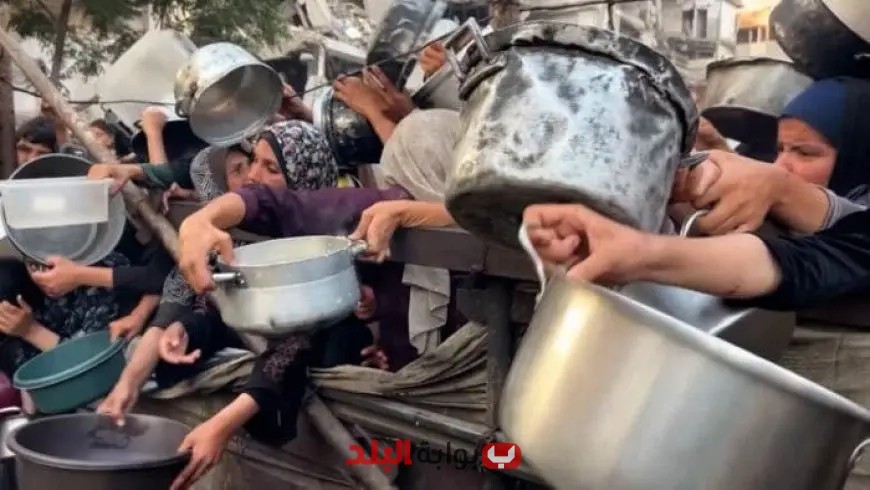 صرخة الخبز في غزة: الأسواق تتحول إلى ساحات تجويع وعقاب جماعي للمواطنين