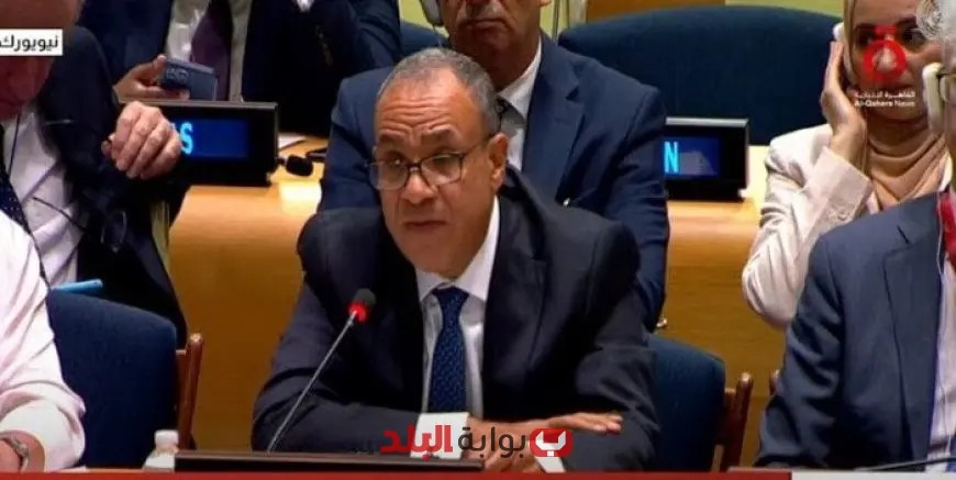 وزير الخارجية يعلن عن سعي حكومته لتحقيق اعتراف دولي بالدولة الفلسطينية