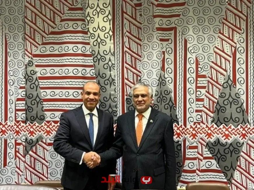وزير الخارجية يناقش الأوضاع في غزة ويعزز العلاقات الاقتصادية خلال لقائه بنظيره الباكستاني