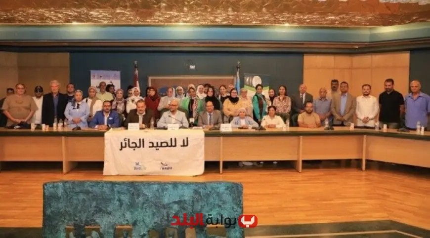 “حملة وطنية عاجلة لإنقاذ بحيرة ناصر من الصيد الجائر: دعوة لعودة الطيور!”
