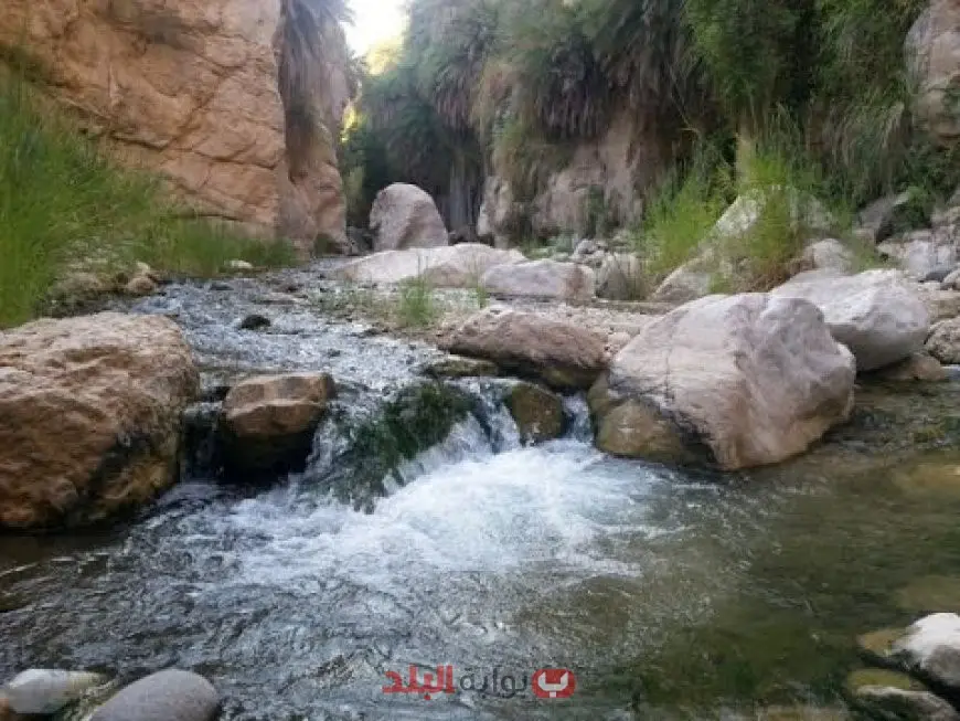 وادي ذي غزال في الطائف.. جنة الطبيعة والتراث في قلب الشفا