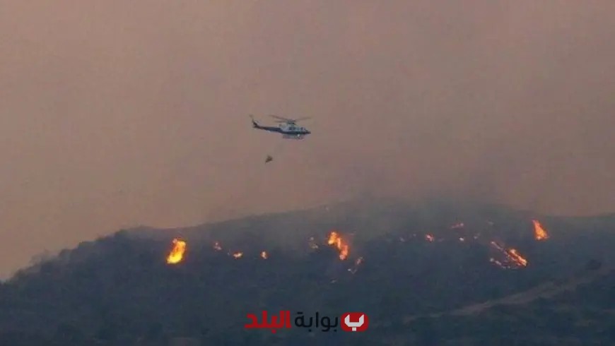 قبرص تعبر عن امتنانها لمصر على الدعم الفوري في مكافحة الحرائق