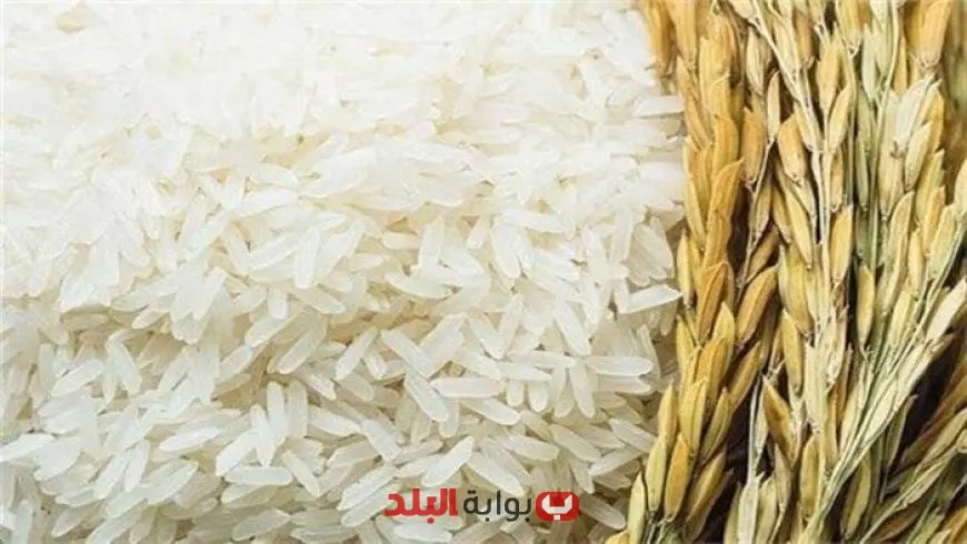 غرفة الجيزة التجارية تكشف عن انخفاض أسعار الأرز والسكر والدقيق مقارنةً بشهر يناير 2025