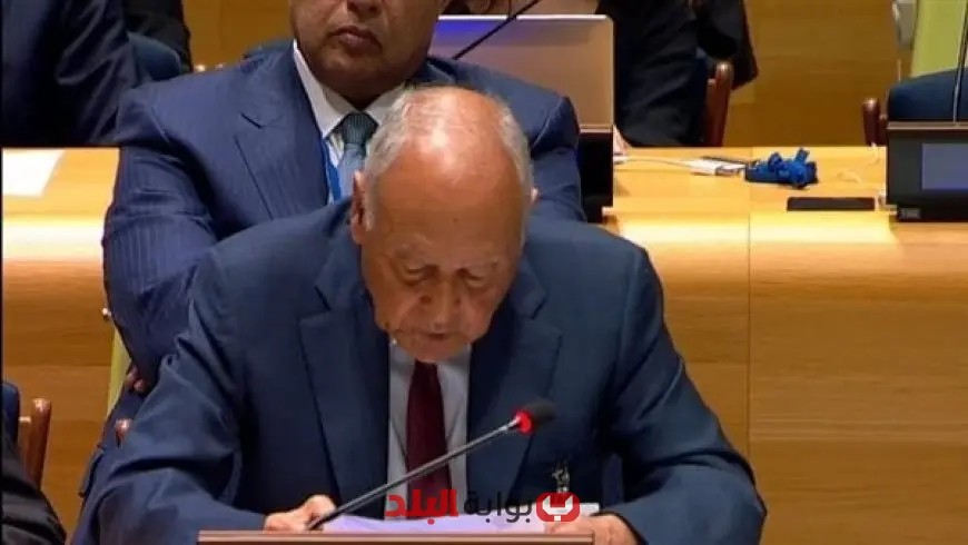 أبو الغيط يؤكد: السلام الإقليمي مستحيل بدون إنهاء الاحتلال الإسرائيلي وتجميد الاستيطان على حدود 67