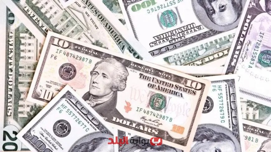 مصادر لـ بوابة البلد: تراجع الطلب على الدولار في البنوك يؤدي إلى انخفاض سعره في السوق
