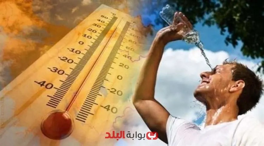 طقس اليوم الخميس 31 يوليو 2025: شبورة كثيفة واضطراب في حركة الملاحة، تعرف على التفاصيل من الأرصاد الجوية!