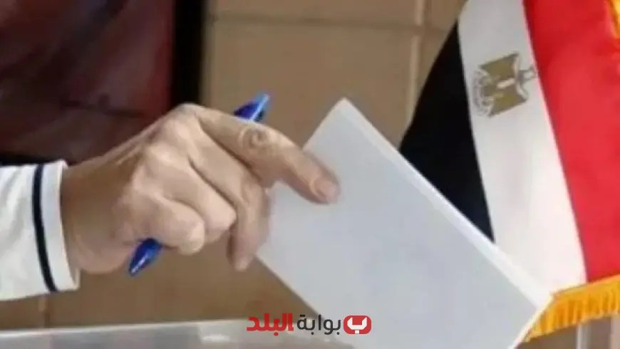 استعدادات انتخابات مجلس الشيوخ 2025: 136 لجنة جاهزة لاستقبال أصوات المصريين في الخارج!