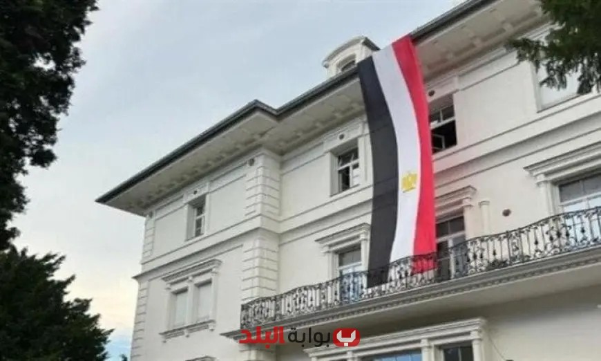 تجمع حاشد للجالية المصرية في النمسا دعماً للرئيس السيسي