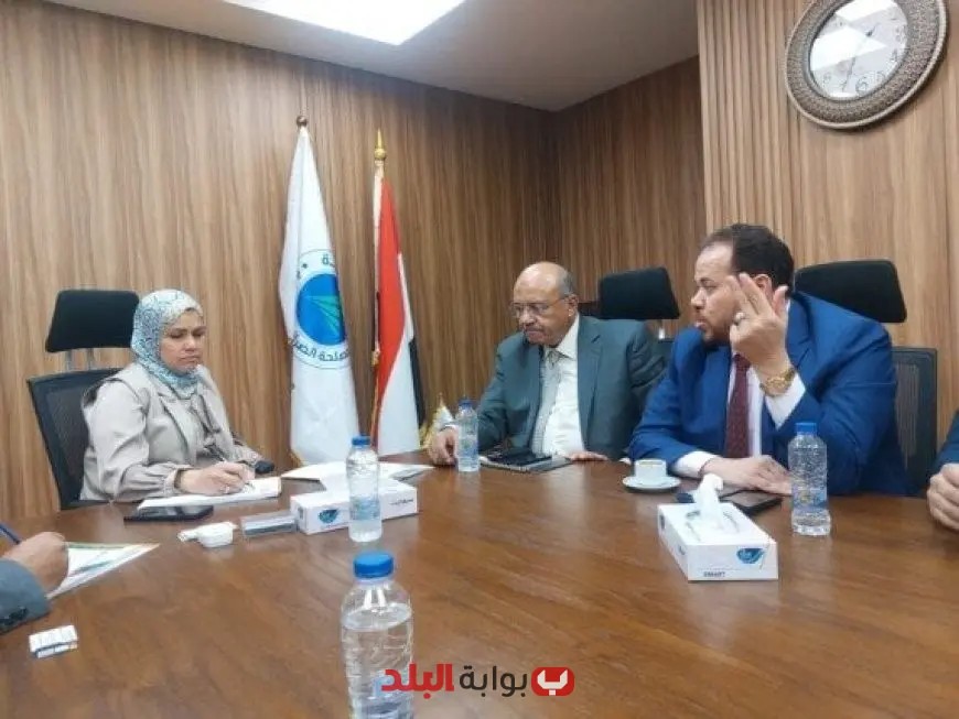 رشا عبد العال تدعو للحوار مع رجال الأعمال لتعزيز الثقة وتحسين النظام الضريبي