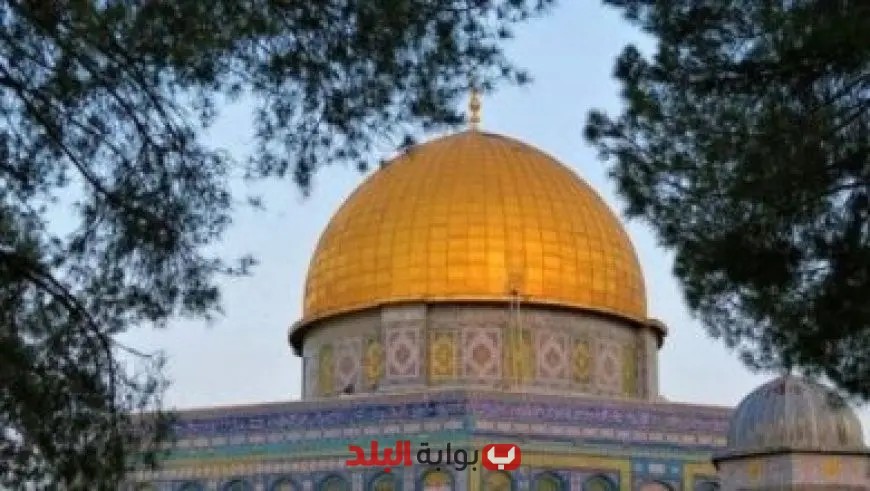 اليونيسف تطالب إسرائيل بحماية الأطفال وتسهيل مد المساعدات الإنسانية إلى غزة