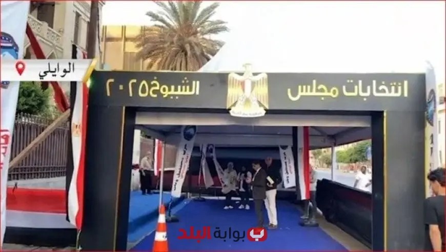 توافد المواطنين بأعداد كبيرة وسط إجراءات أمنية مشددة للمشاركة في انتخابات الشيوخ 2025 بالوايلي فيديو