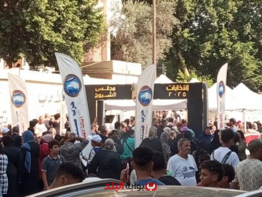 انتخابات الشيوخ 2025 تشهد إقبالاً كبيراً في لجان التصويت بالمقطم