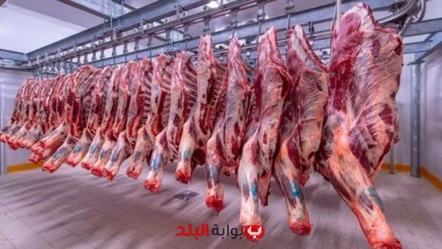 أسعار اللحوم اليوم 5 أغسطس 2025 الكندوز يصل إلى 400 جنيه