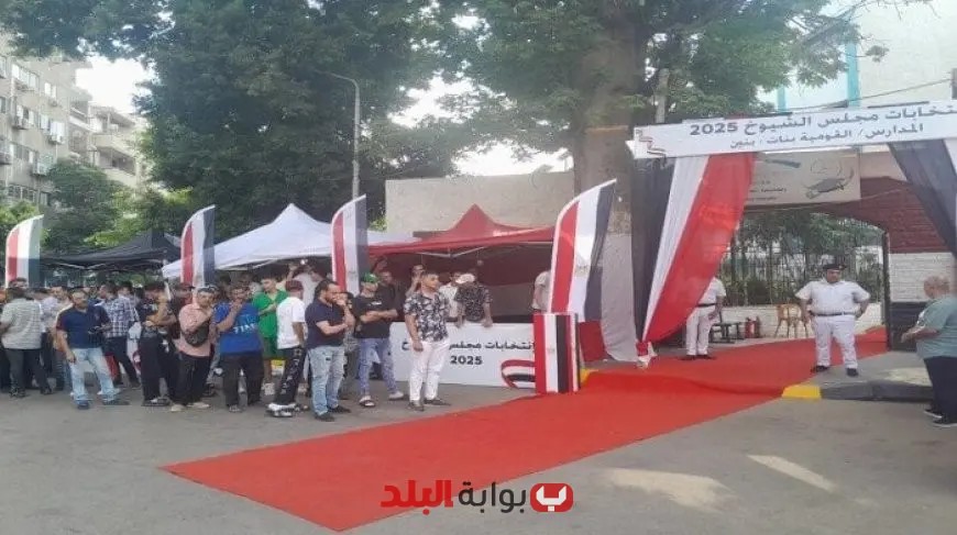 استعدادات لجان الجيزة لاستقبال الناخبين في اليوم الثاني من انتخابات الشيوخ 2025