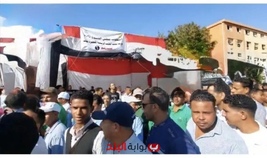 تصويت مكثف في لجان الغردقة خلال ثاني أيام انتخابات الشيوخ 2025