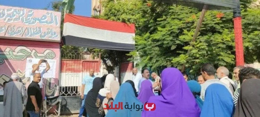ازدحام كبير أمام لجان الجيزة مع انطلاق اليوم الثاني لانتخابات مجلس الشيوخ