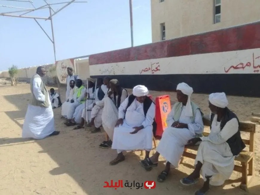 تزايد الإقبال على التصويت في انتخابات مجلس الشيوخ 2025 بالمحافظات الحدودية