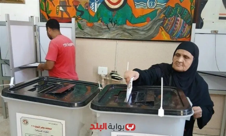 ندى سرور تؤكد زيادة الإقبال وانتظام العملية الانتخابية في السويس