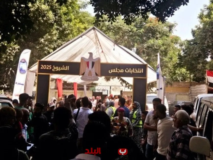 ناخبون يتوافدون بكثافة على لجان القاهرة قبيل إغلاق التصويت بالصور