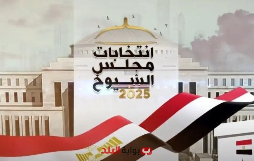 زيادة الإقبال على لجان القاهرة بعد فترة الراحة وترقب دولي لمتابعة الانتخابات
