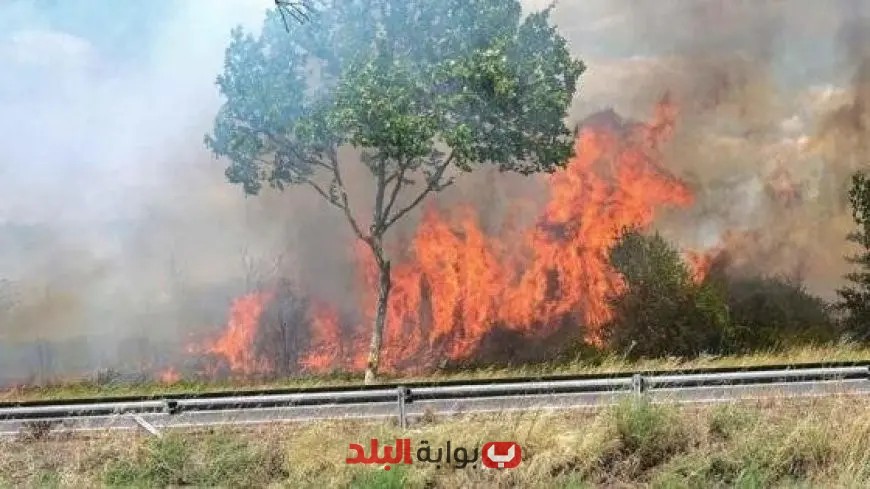 حريق ضخم يدمر أكثر من 10000 هكتار من الغابات في جنوب فرنسا