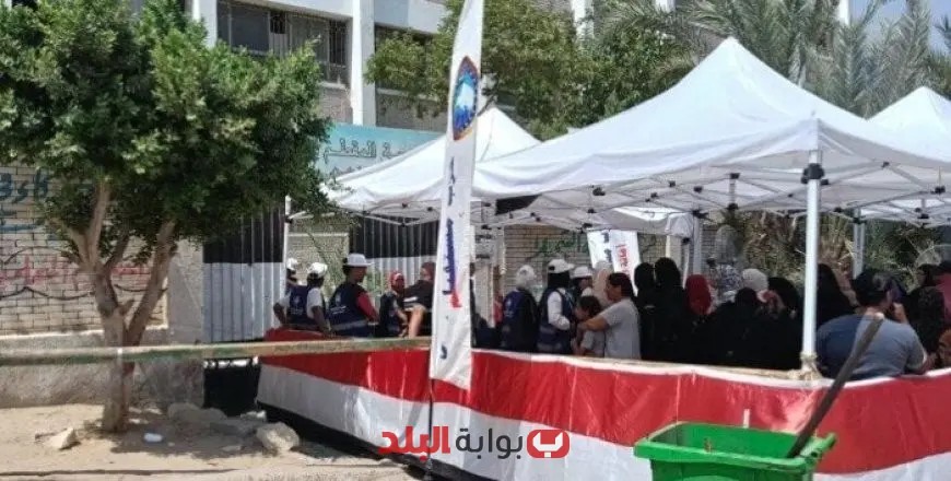 بدء تسليم نتائج انتخابات مجلس الشيوخ 2025 مع تفاصيل محاضر الفرز