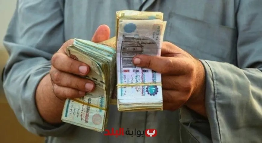 خبراء يتوقعون انخفاض معدل التضخم في مصر وتأثيره على السياسات النقدية للبنك المركزي