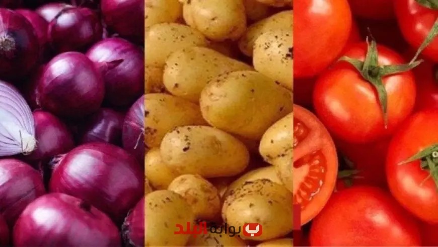 تراجع أسعار الخضروات والفاكهة بسبب الموجات الحارة وتأثيرها على السلع