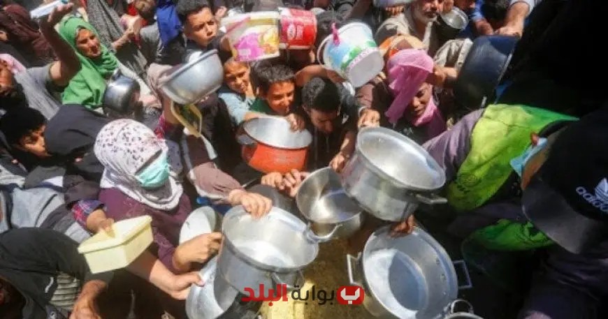 صحة غزة تكشف عن ارتفاع عدد ضحايا المجاعة في القطاع إلى 197 حالة وفاة بينهم 96 طفلًا