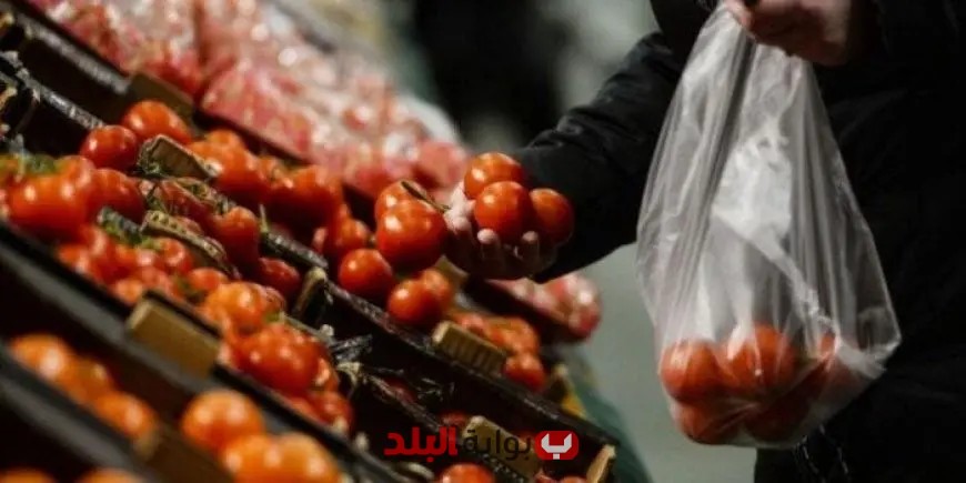 صندوق النقد العربي يتوقع انخفاض التضخم في مصر إلى 11.9%