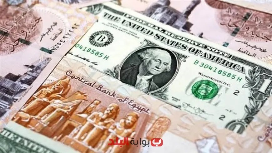 استقرار متوسط سعر الدولار عند 49.50 جنيها خلال عطلة نهاية الأسبوع للبنوك