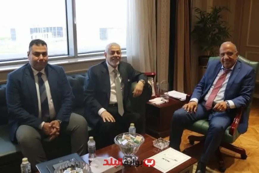 وزير الكهرباء يناقش مع إيميا باور الإماراتية إنجاز محطات تخزين منفصلة جديدة