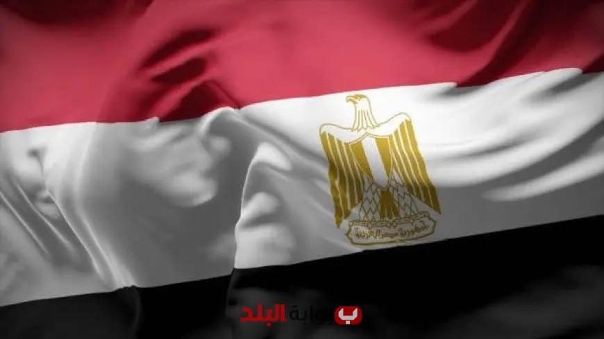 فيتش تؤكد أن التحول الرقمي في مصر يتسارع بفضل الاستثمارات الحكومية والمشاريع العملاقة