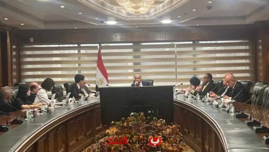 وزير الطيران يلتقي بوفد مطار إنتشون الكوري لاستكشاف آفاق الشراكات الدولية | صور