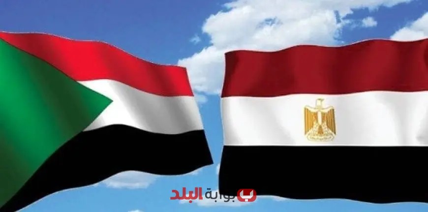 مبادرة الدبلوماسية الشعبية تشيد بالجهود المصرية والسودانية نحو استقرار السودان