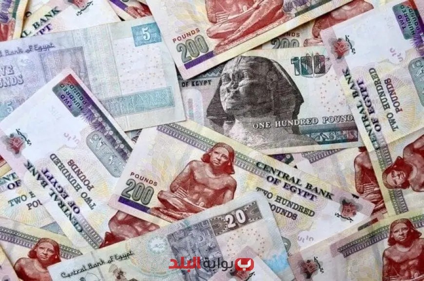 بعد تراجع التضخم خبير اقتصادي يكشف عن توقعاته لأسعار الفائدة في الاجتماع المقبل للبنك المركزي