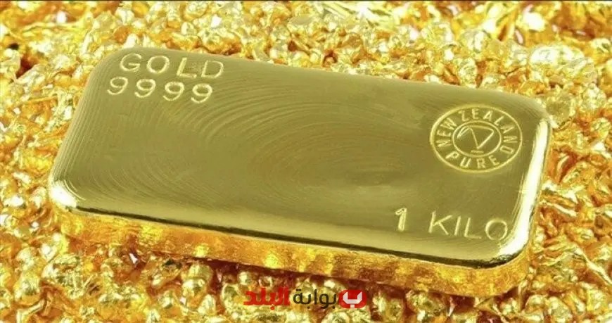 مشروع قانون تداول صناديق الذهب يعزز فرص الاستثمار ويقلل تكاليف المعايرة بحسب واصف