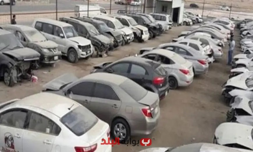 حصيلة مبيعات سيارات وبضائع جمارك الإسكندرية والسلوم تصل إلى 15 مليون و847 ألف جنيه