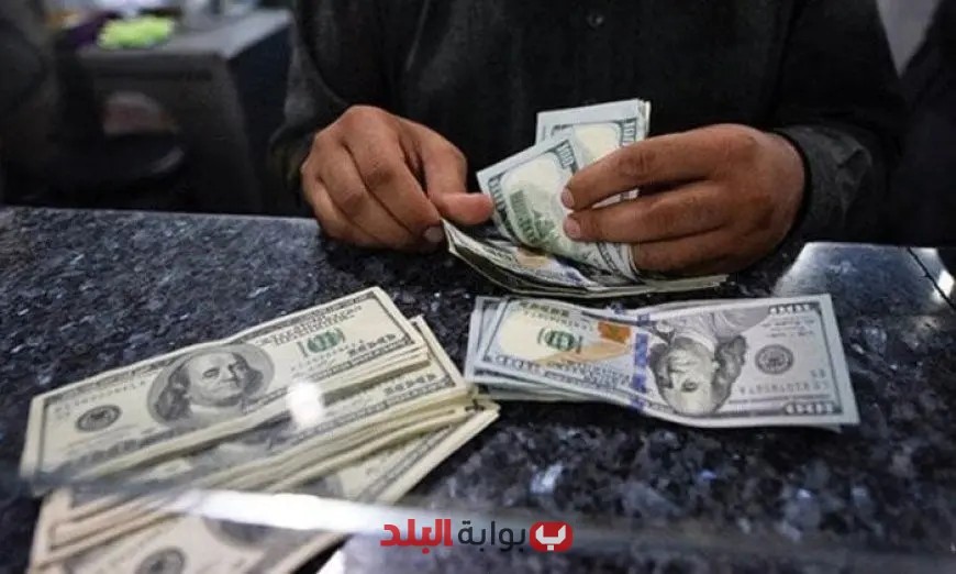 استقرار سعر الدولار مقابل الجنيه عند نهاية التداولات اليوم