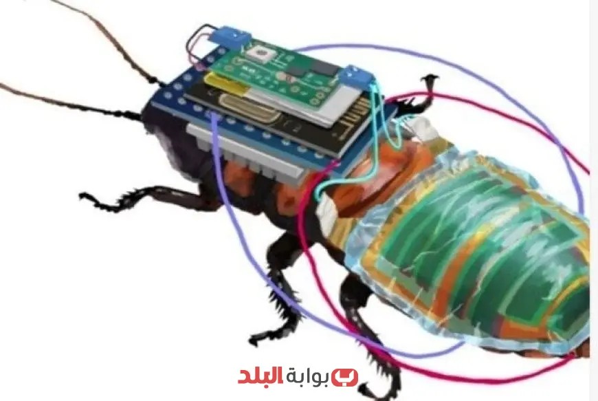 ابتكار صرصور إلكتروني متعدد المهارات في الصين ينفذ مهام البحث والإنقاذ بفعالية