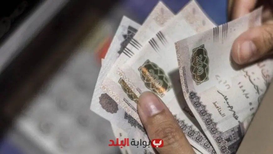بعد تراجع معدلات التضخم خبراء يكشفون مستقبل سعر الفائدة في مصر