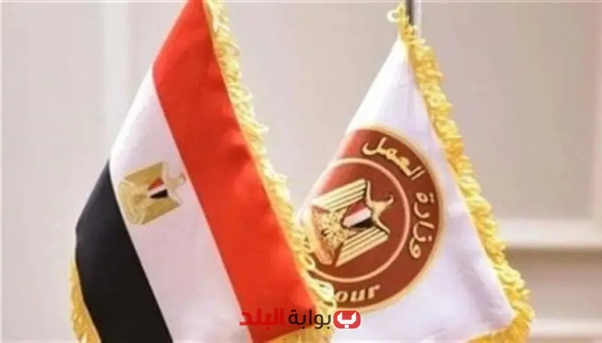 فرص عمل مغرية للشباب في الأردن 2025 برواتب تصل إلى 350 دينار