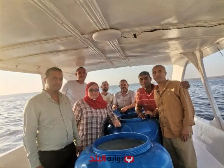 إطلاق دفعة جديدة من يرقات الجمبري في بحيرة قارون لتعزيز الثروة السمكية