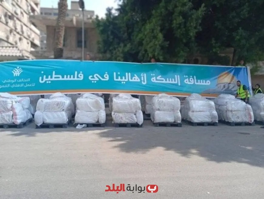 رسائل دعم ملهمة من مصر إلى غزة على كراتين المساعدات تضامنًا مع فلسطين صور