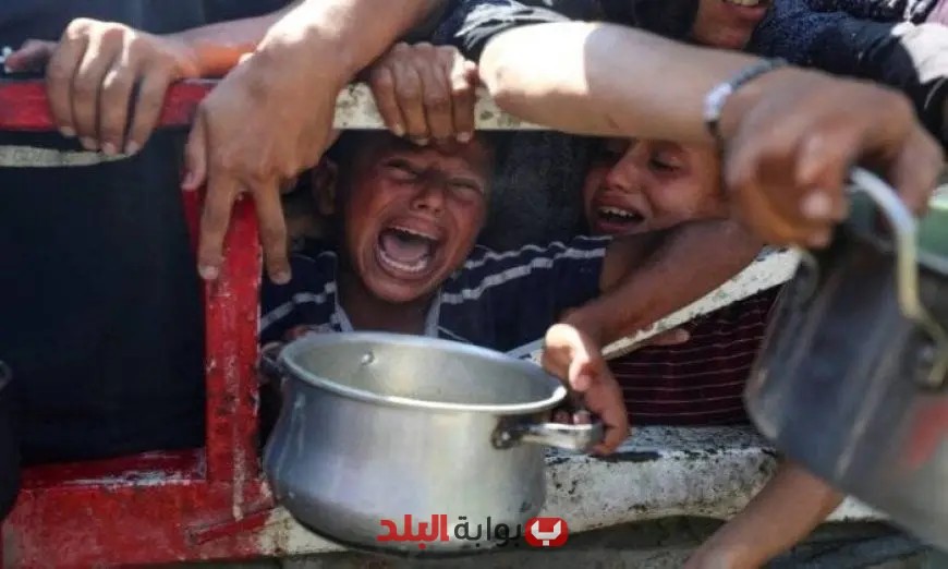 أوتشا تحذر من الأوضاع المروعة في غزة وارتفاع معدلات المجاعة إلى خطر الموت