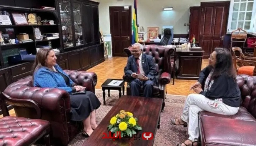 رئيس موريشيوس يعبر عن إعجابه بالعلاقات القوية مع مصر